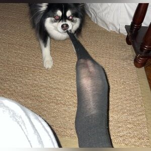 UNLISTED SHOW ITEM 1